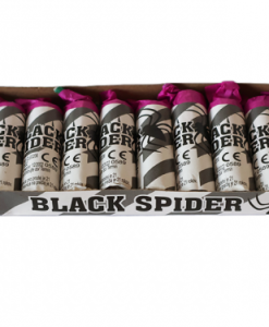 Black Spider